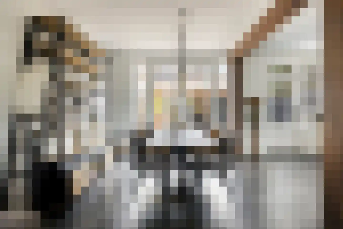 Inktvisstraat 4 Helmond thumbnail 9