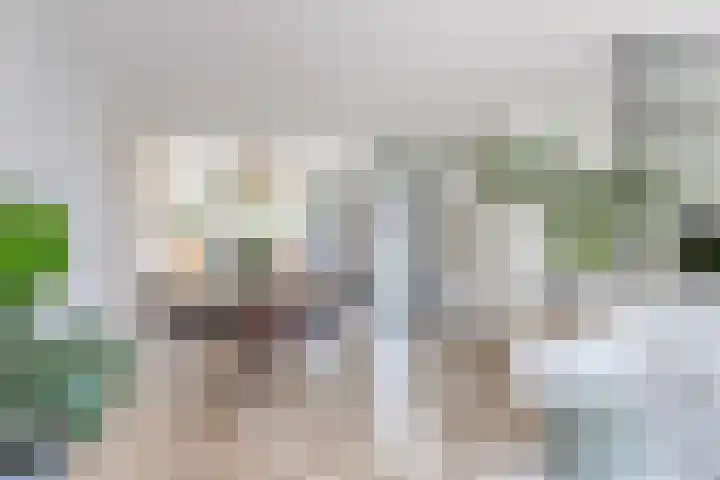 Inktzwam 7 Apeldoorn thumbnail 10