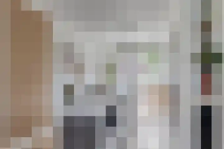 Inktzwam 7 Apeldoorn thumbnail 11