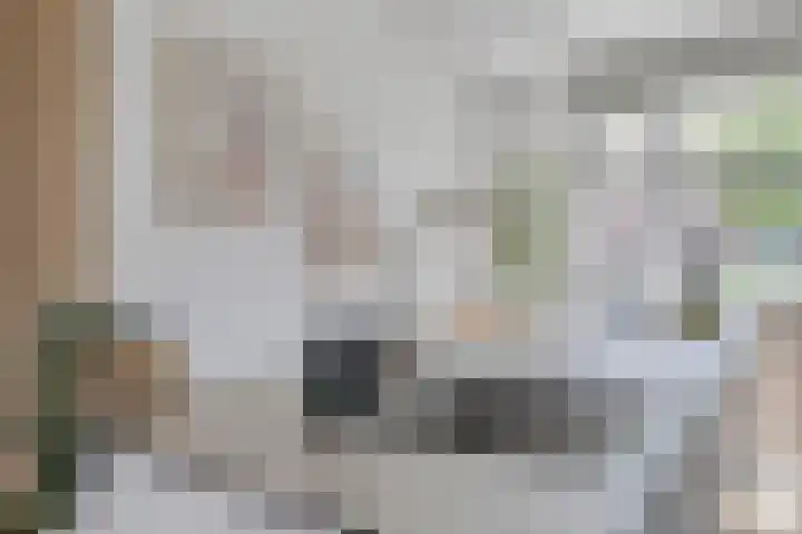 Inktzwam 7 Apeldoorn thumbnail 13