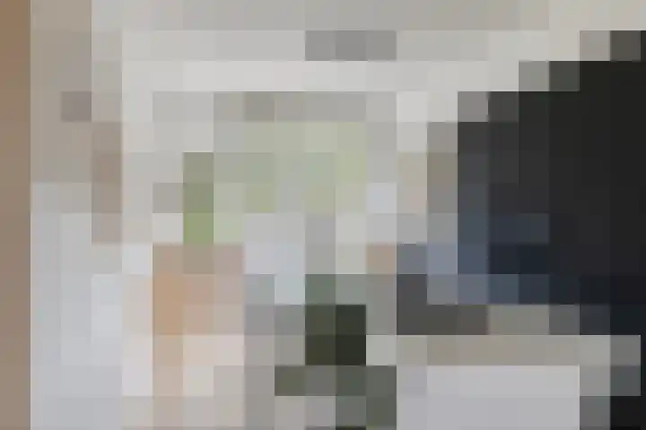 Inktzwam 7 Apeldoorn thumbnail 16