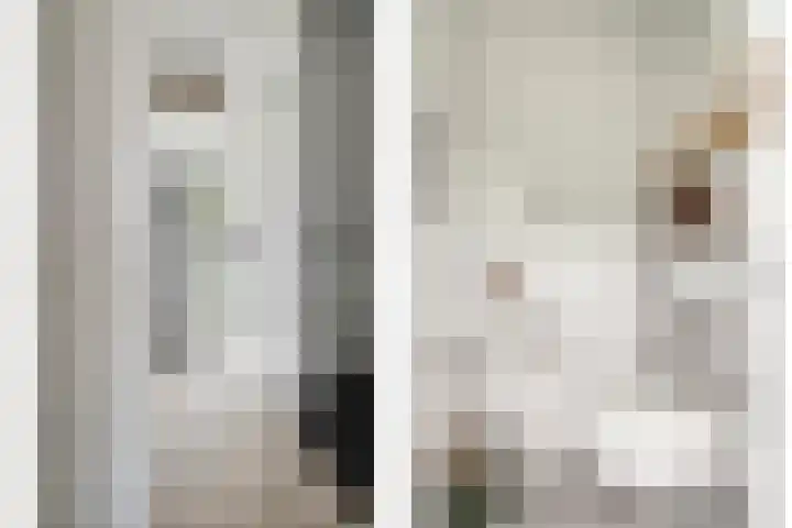 Inktzwam 7 Apeldoorn thumbnail 17