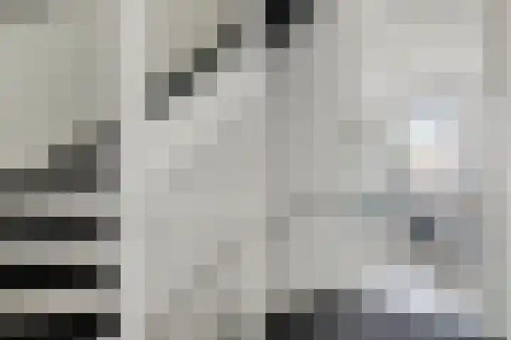 Inktzwam 7 Apeldoorn thumbnail 18