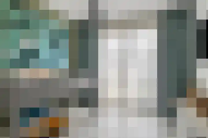 Inktzwam 7 Apeldoorn thumbnail 23