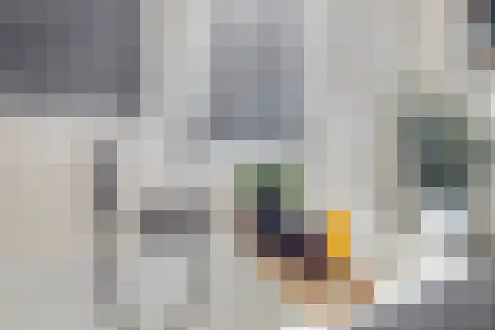Inktzwam 7 Apeldoorn thumbnail 25