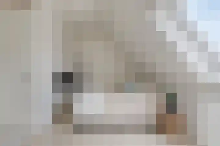Inktzwam 7 Apeldoorn thumbnail 28