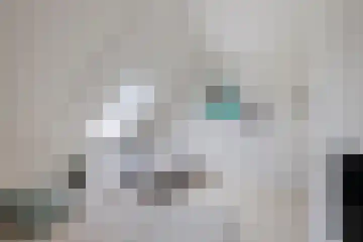 Inktzwam 7 Apeldoorn thumbnail 29