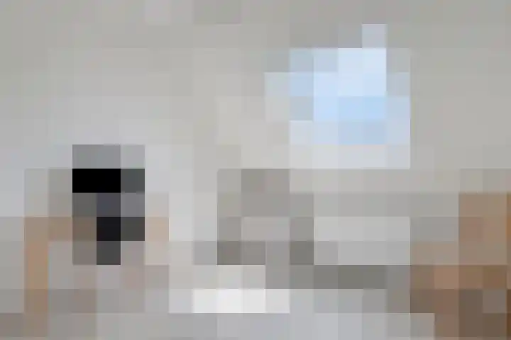 Inktzwam 7 Apeldoorn thumbnail 30