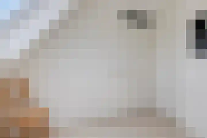 Inktzwam 7 Apeldoorn thumbnail 31