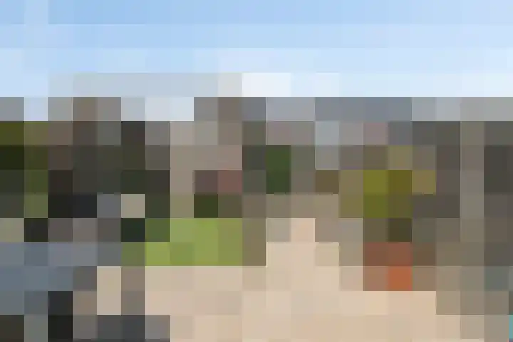 Inktzwam 7 Apeldoorn thumbnail 32