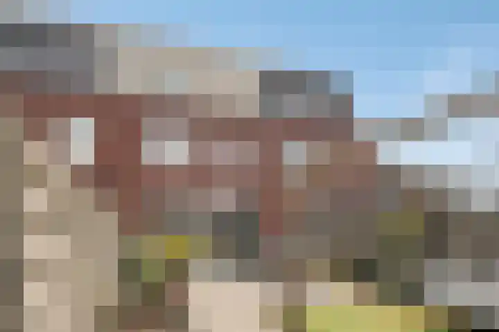 Inktzwam 7 Apeldoorn thumbnail 33