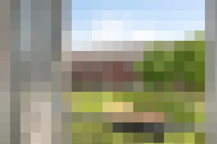 Inktzwam 7 Apeldoorn thumbnail 34