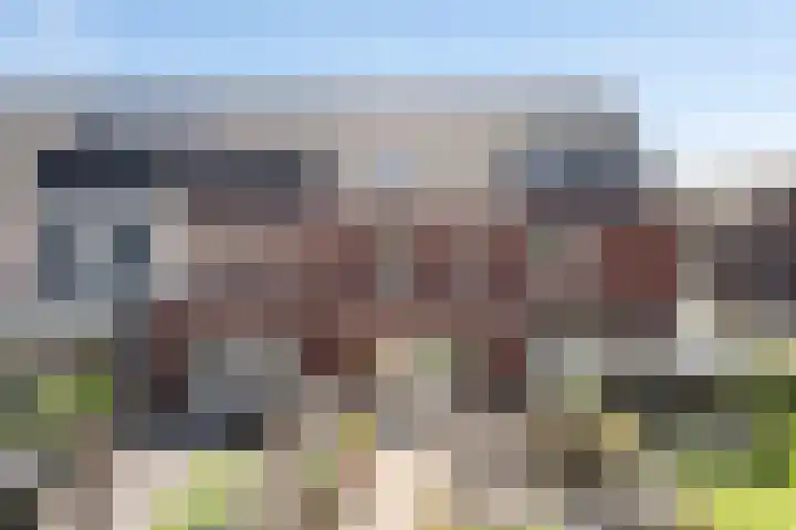 Inktzwam 7 Apeldoorn thumbnail 35