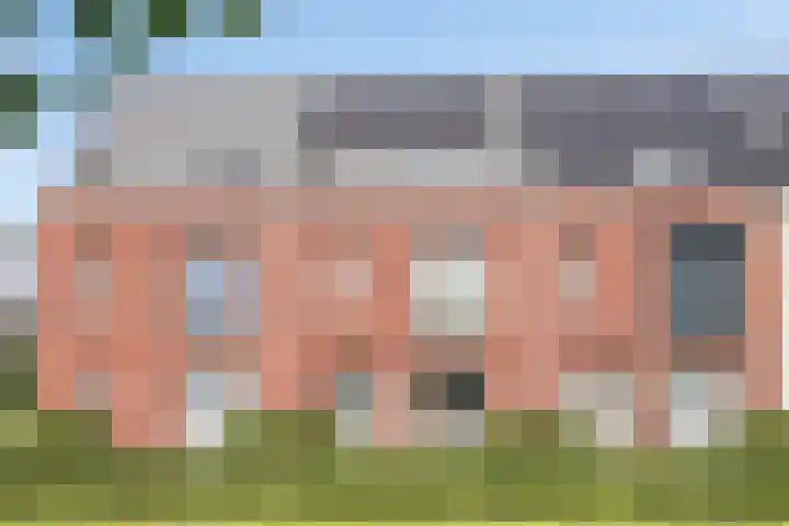 Inktzwam 7 Apeldoorn thumbnail 36