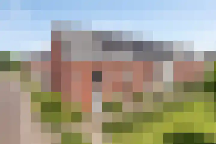 Inktzwam 7 Apeldoorn thumbnail 37