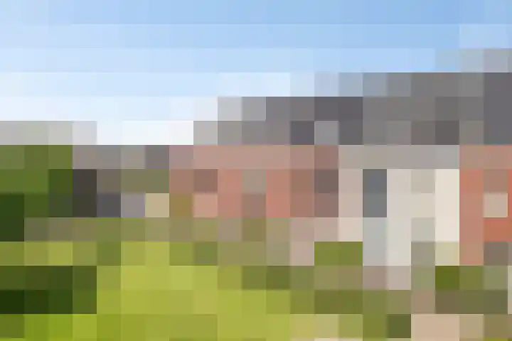 Inktzwam 7 Apeldoorn thumbnail 38