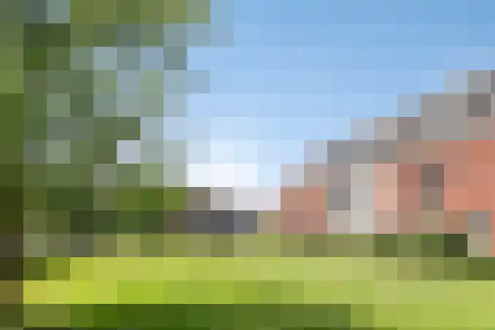 Inktzwam 7 Apeldoorn thumbnail 39