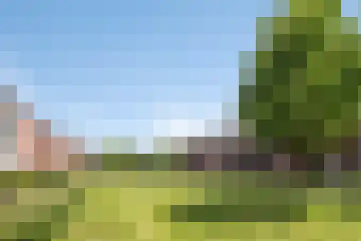 Inktzwam 7 Apeldoorn thumbnail 40