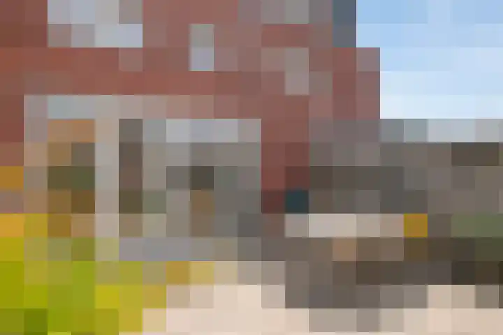 Inktzwam 7 Apeldoorn thumbnail 6