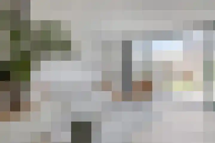 Inktzwam 7 Apeldoorn thumbnail 7