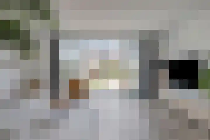 Inktzwam 7 Apeldoorn thumbnail 8