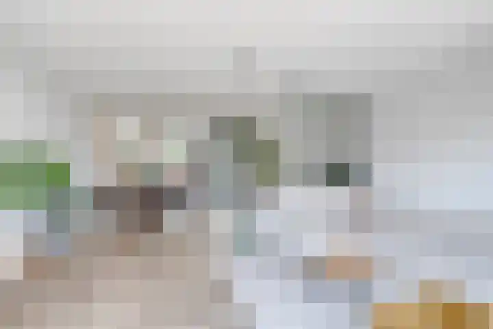 Inktzwam 7 Apeldoorn thumbnail 9