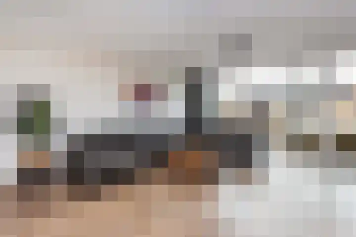 Inktzwamsingel 26 Vleuten thumbnail 11