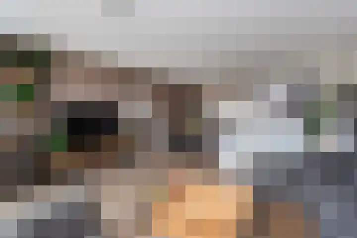 Inktzwamsingel 26 Vleuten thumbnail 14