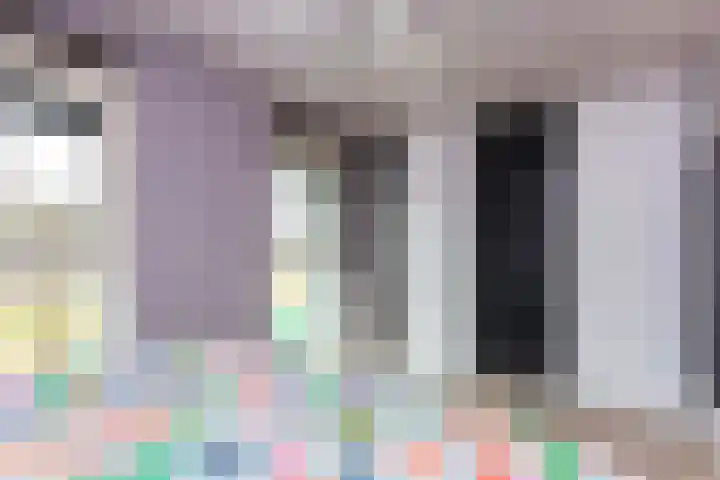 Inktzwamsingel 26 Vleuten thumbnail 19