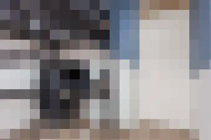 Inktzwamsingel 26 Vleuten thumbnail 26