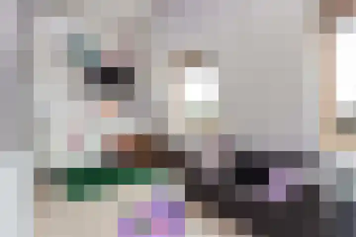 Inktzwamsingel 26 Vleuten thumbnail 35