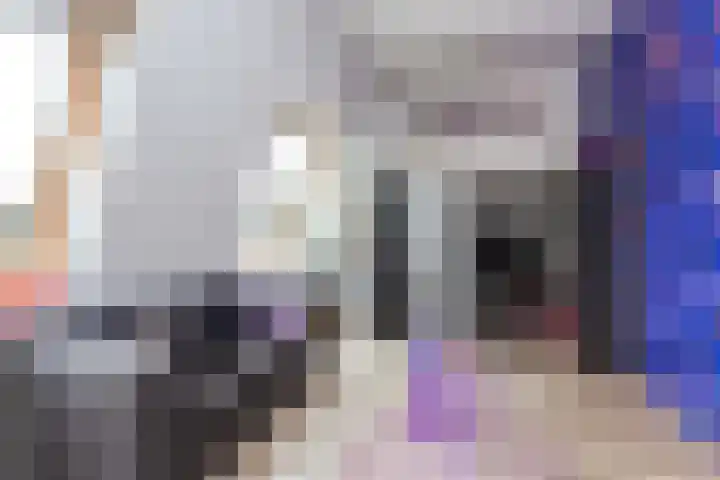 Inktzwamsingel 26 Vleuten thumbnail 37