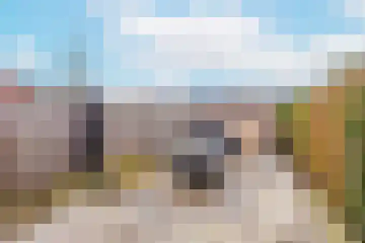 Inktzwamsingel 26 Vleuten thumbnail 39