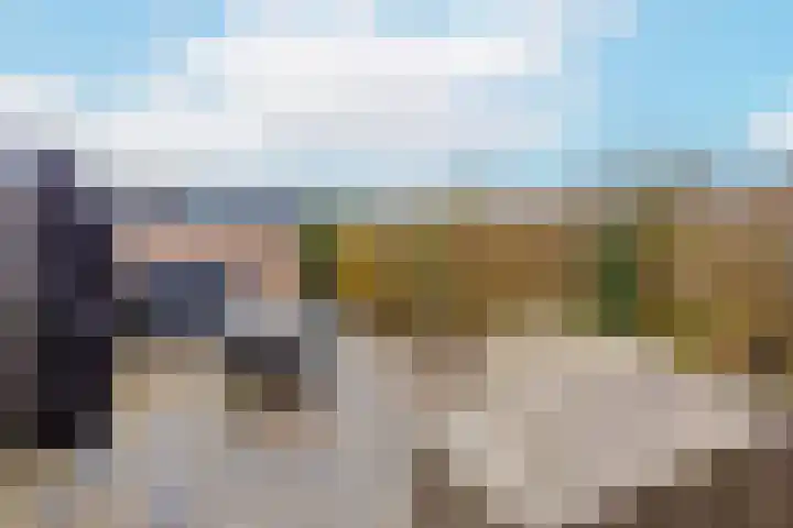 Inktzwamsingel 26 Vleuten thumbnail 40