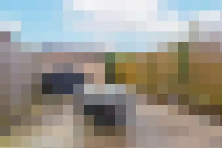 Inktzwamsingel 26 Vleuten thumbnail 41