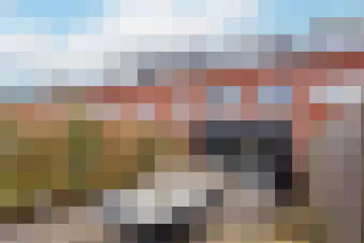 Inktzwamsingel 26 Vleuten thumbnail 42