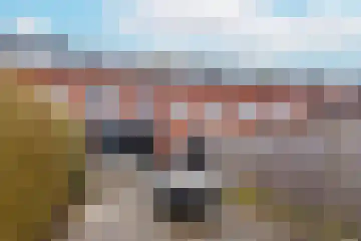 Inktzwamsingel 26 Vleuten thumbnail 43