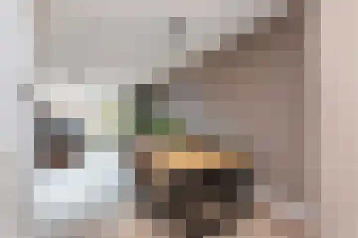 Inktzwamsingel 26 Vleuten thumbnail 5