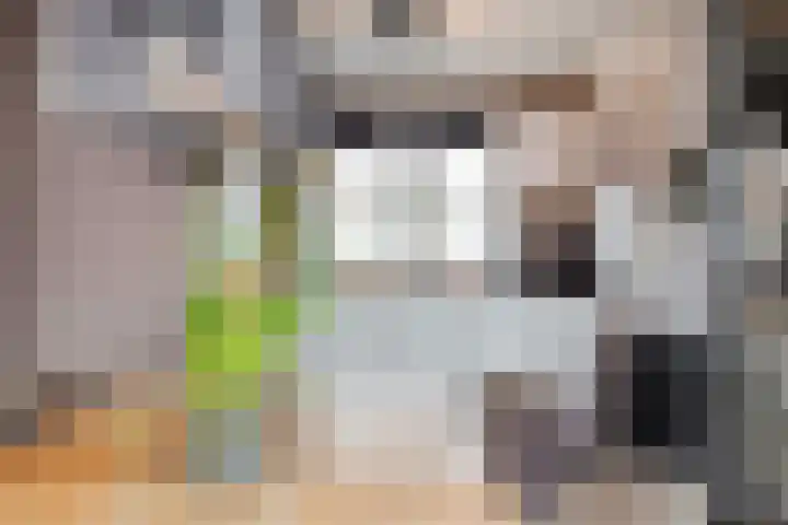 Inktzwamsingel 26 Vleuten thumbnail 7