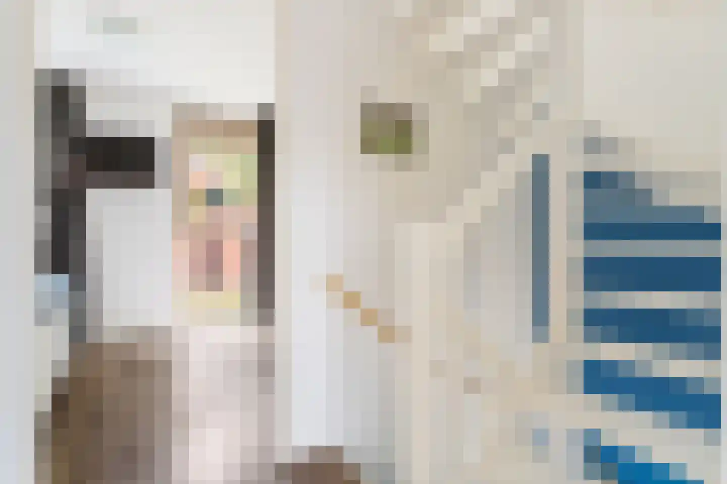 Inktzwamsingel 5 Vleuten thumbnail 14