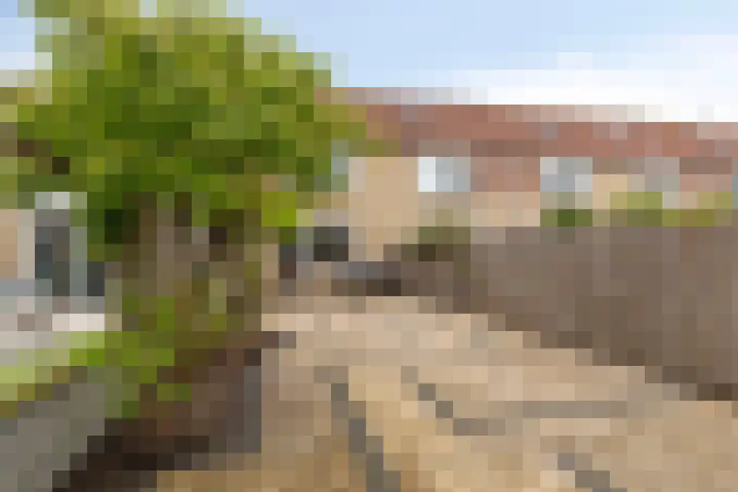 Inlaag 12 Zwanenburg thumbnail 10