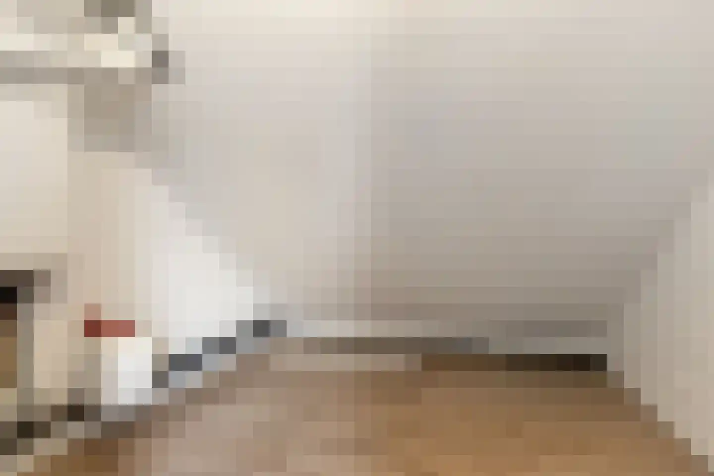 Inlaag 12 Zwanenburg thumbnail 23