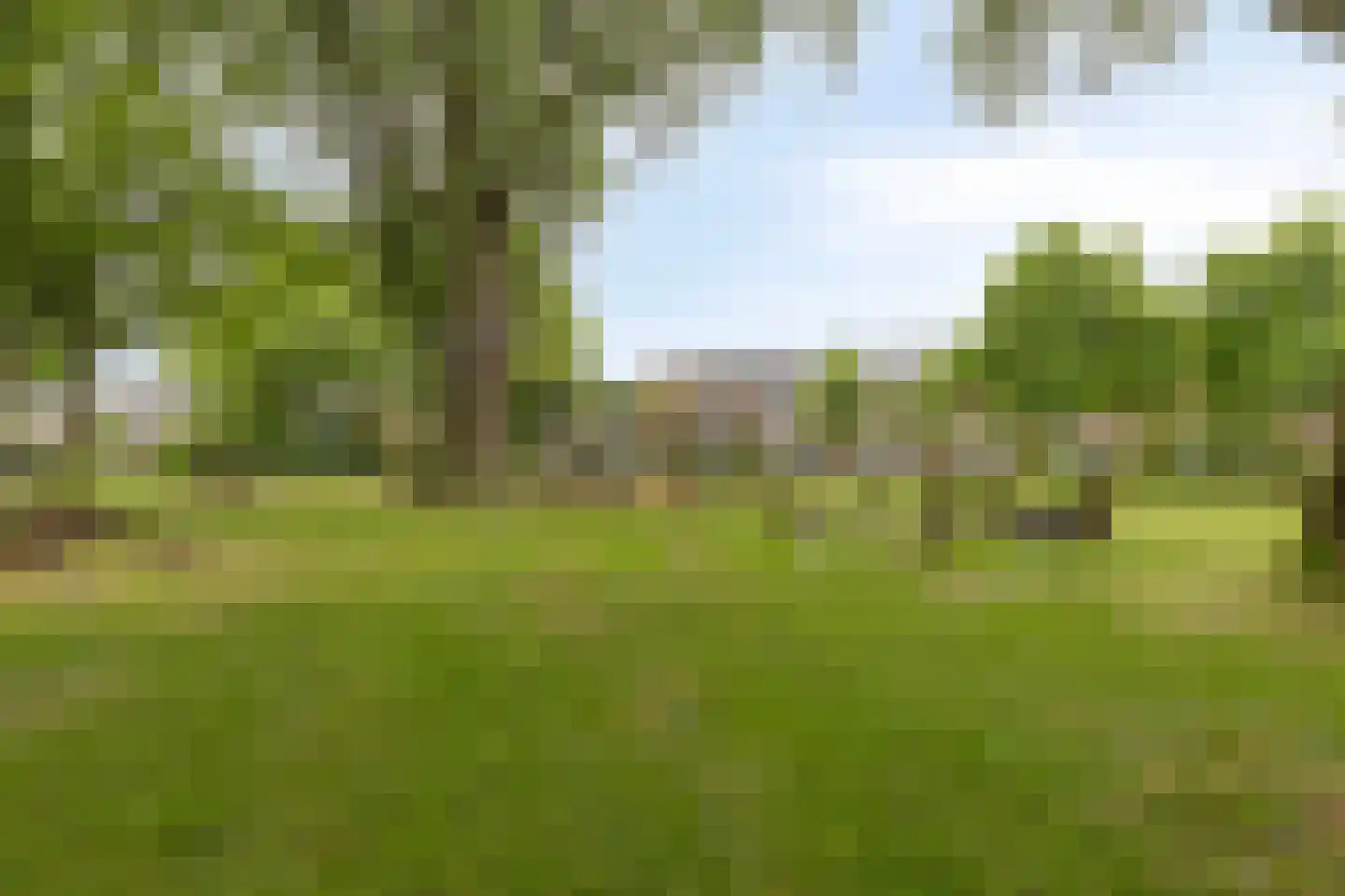 Inlaag 12 Zwanenburg thumbnail 29