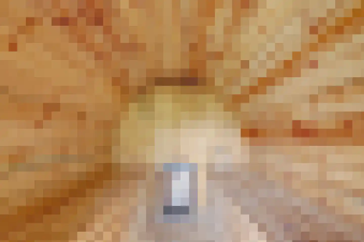 Inlaag 26 Wolphaartsdijk thumbnail 17