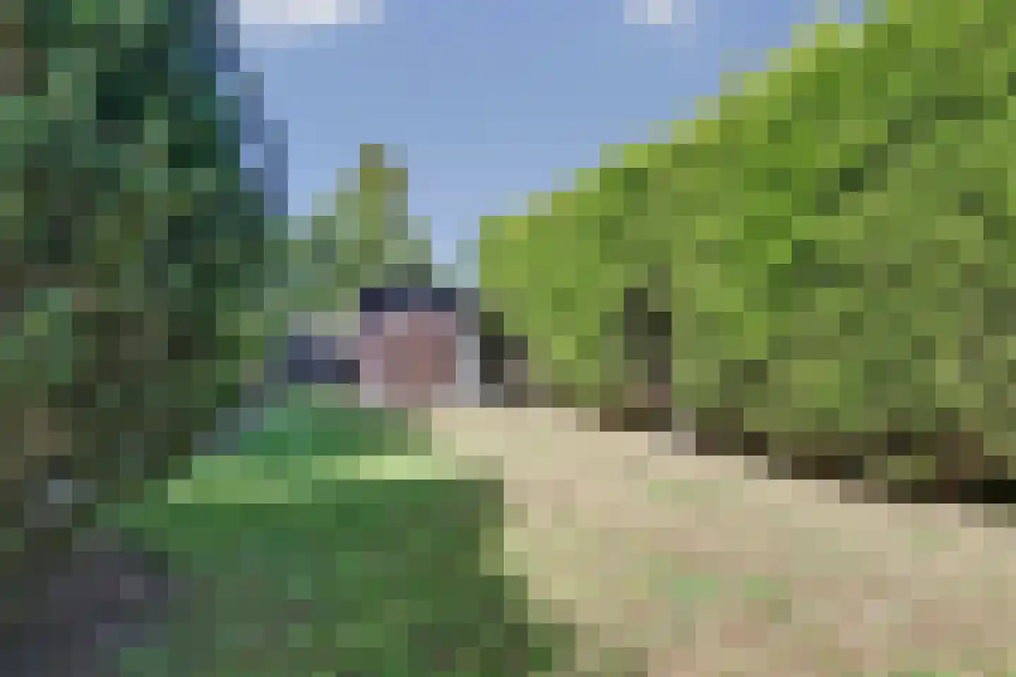 Inlaag 26 Wolphaartsdijk thumbnail 22