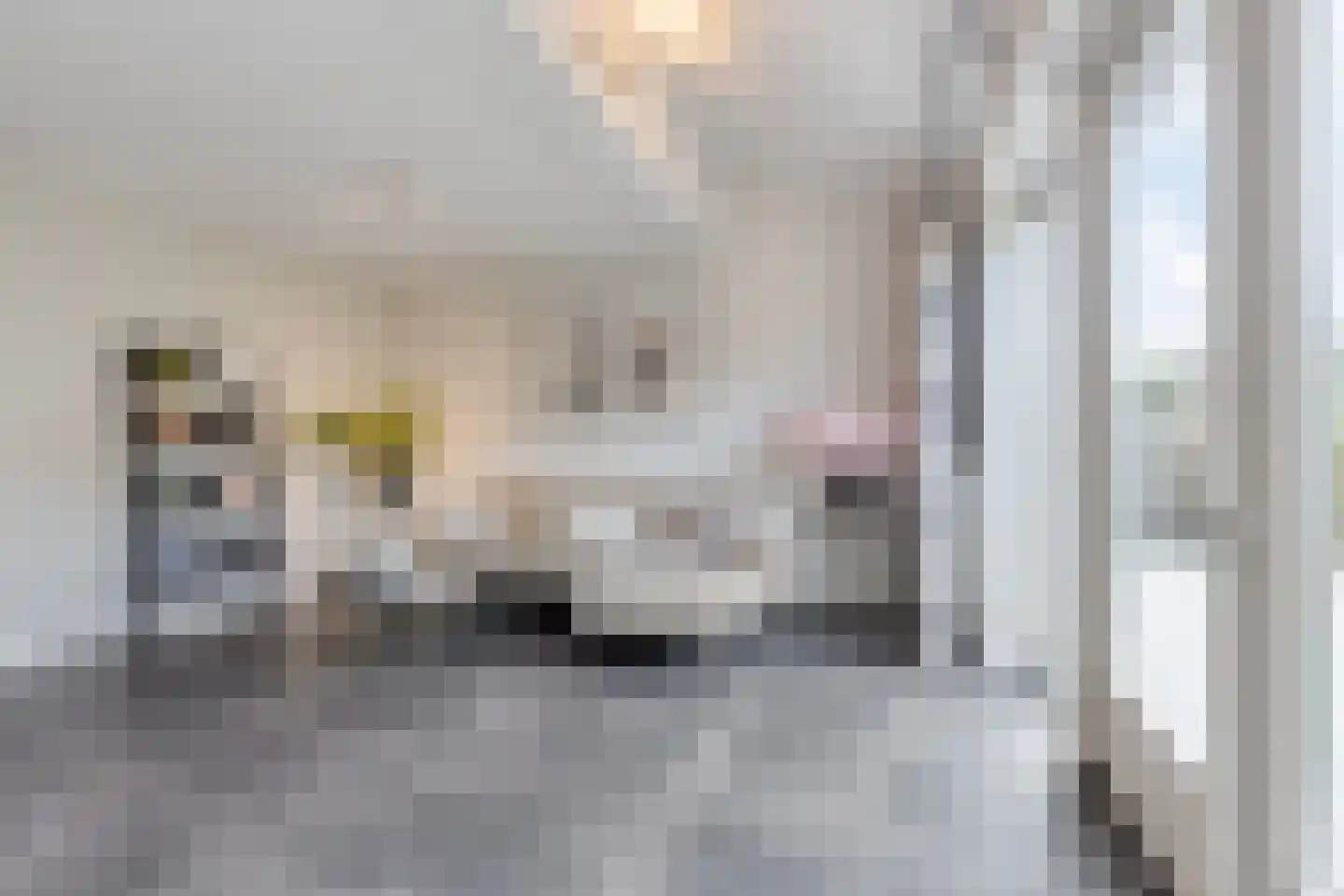 Inlaagdijk 112 Zwaag thumbnail 15