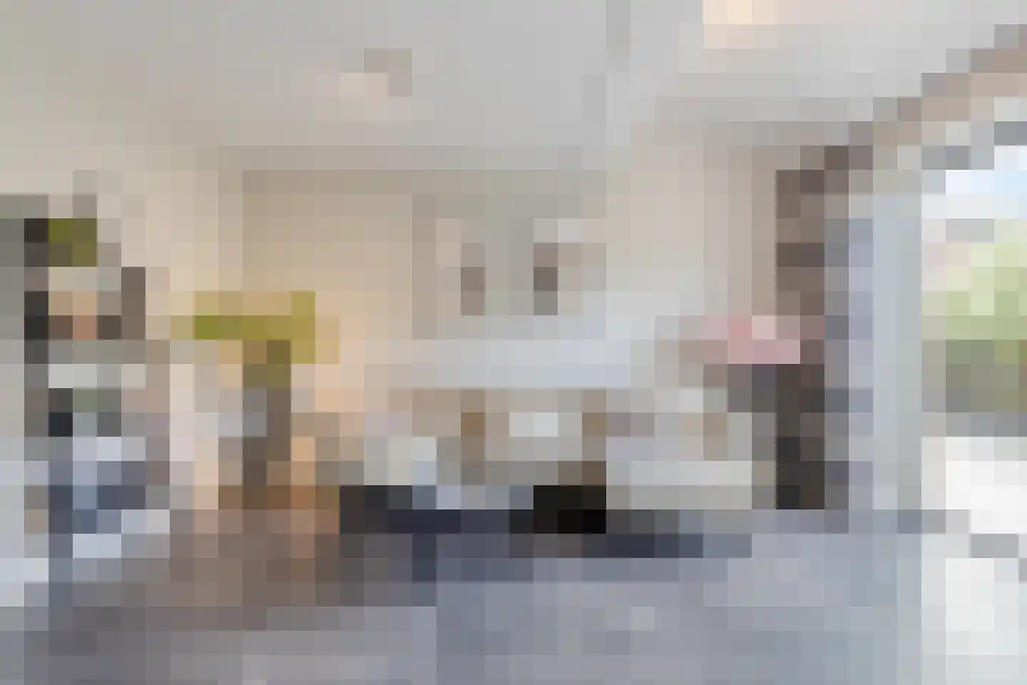 Inlaagdijk 112 Zwaag thumbnail 17