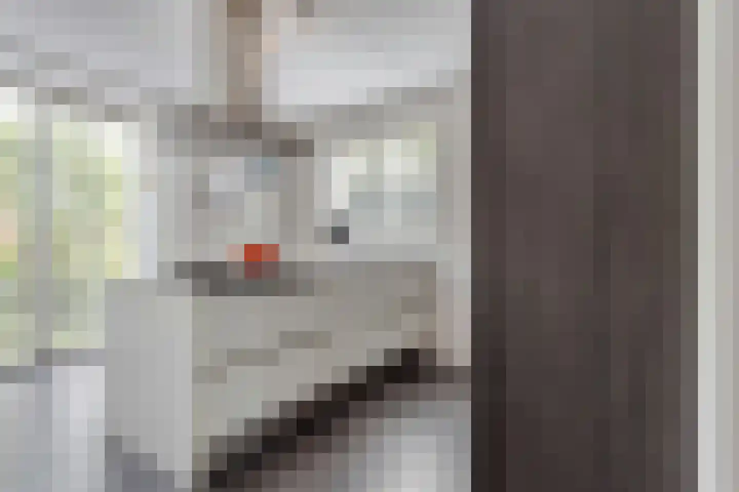 Inlaagdijk 112 Zwaag thumbnail 31