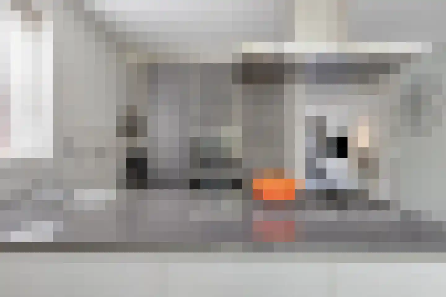 Inlaagdijk 112 Zwaag thumbnail 32