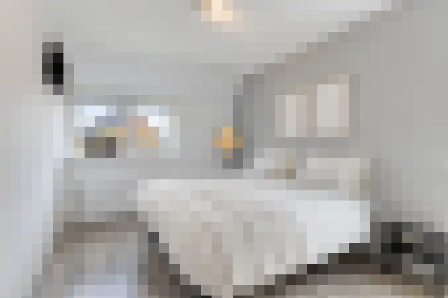 Inlaagdijk 112 Zwaag thumbnail 37